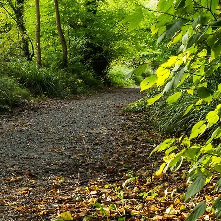 Harbour House Gasthof