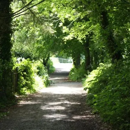 Harbour House Gasthof Courtown