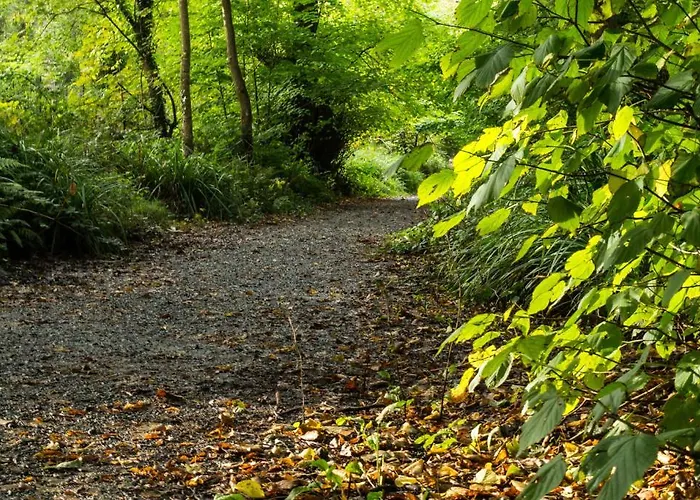 Harbour House Guest house