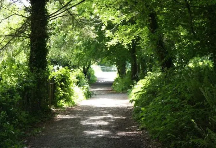 Harbour House Πανσιόν Courtown